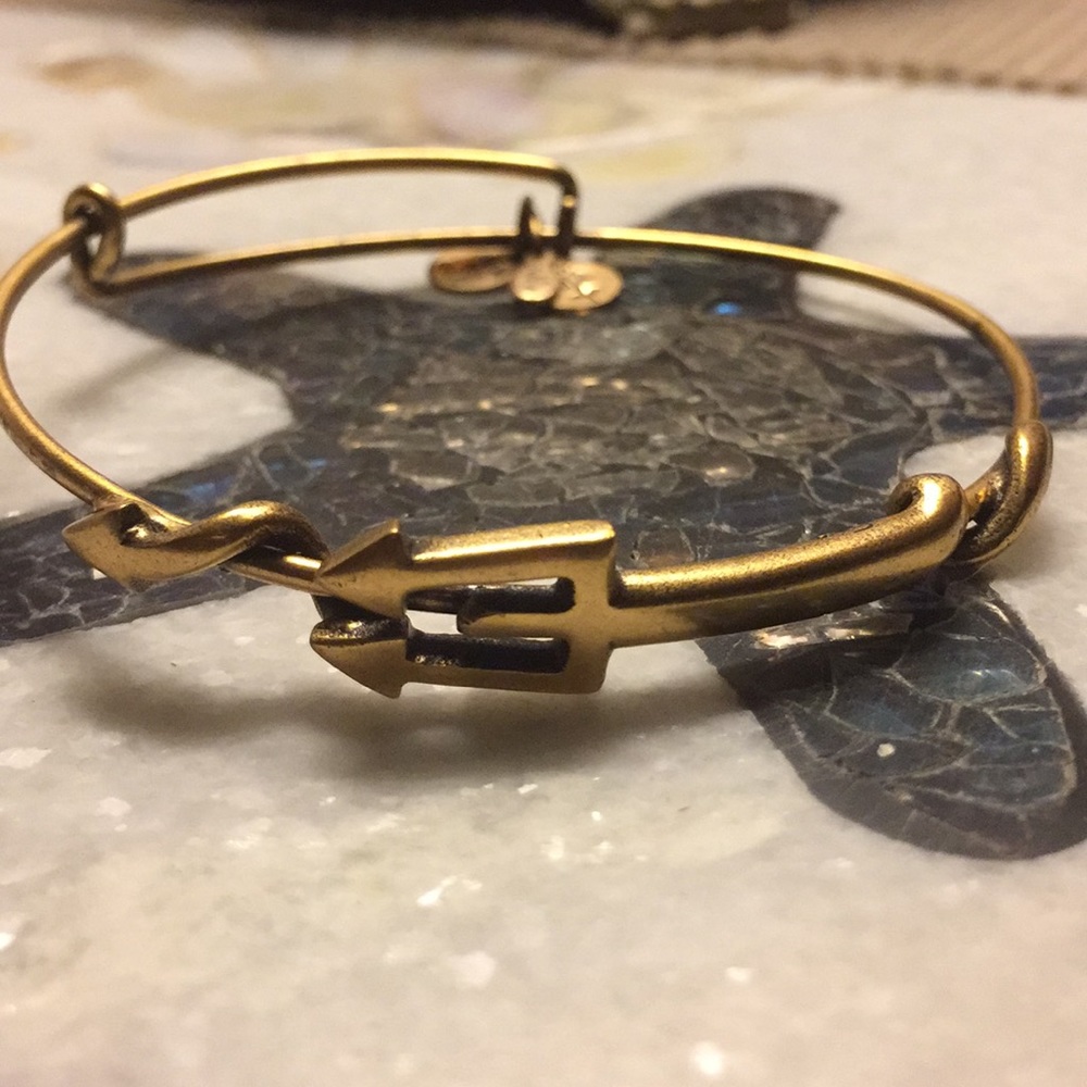 Alex and Ani Trident Wrap Bracelet